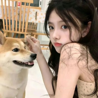 忍者神龟第五季